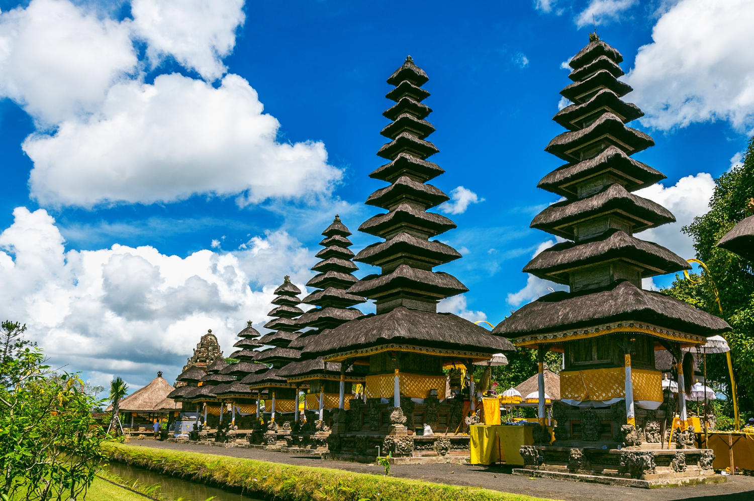 Bali rice terraces - buying a tourist eSIM for Indonesia