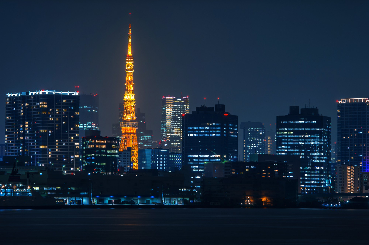 Tokyo cityscape at night