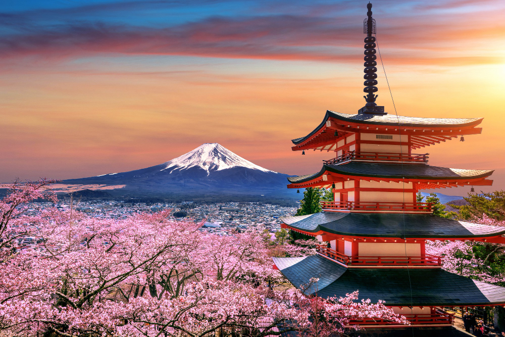 Domestic Flights in Japan - The Complete Guide - Trawellogy.com