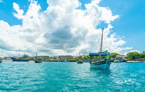 tanzania domestic flights