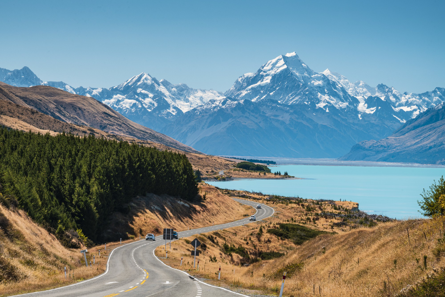 Motorcycle Rental in New Zealand Made Easy - Trawellogy.com