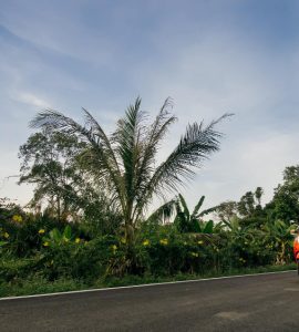 Motorcycle rental Sri Lanka
