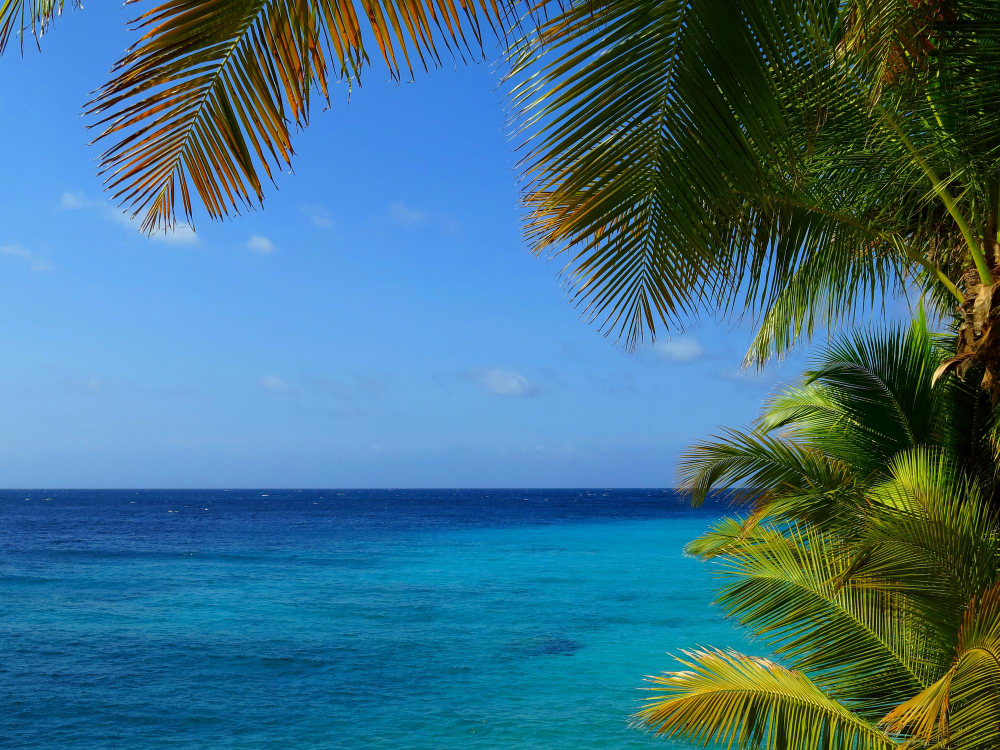 Tropical shoreline with turquoise water