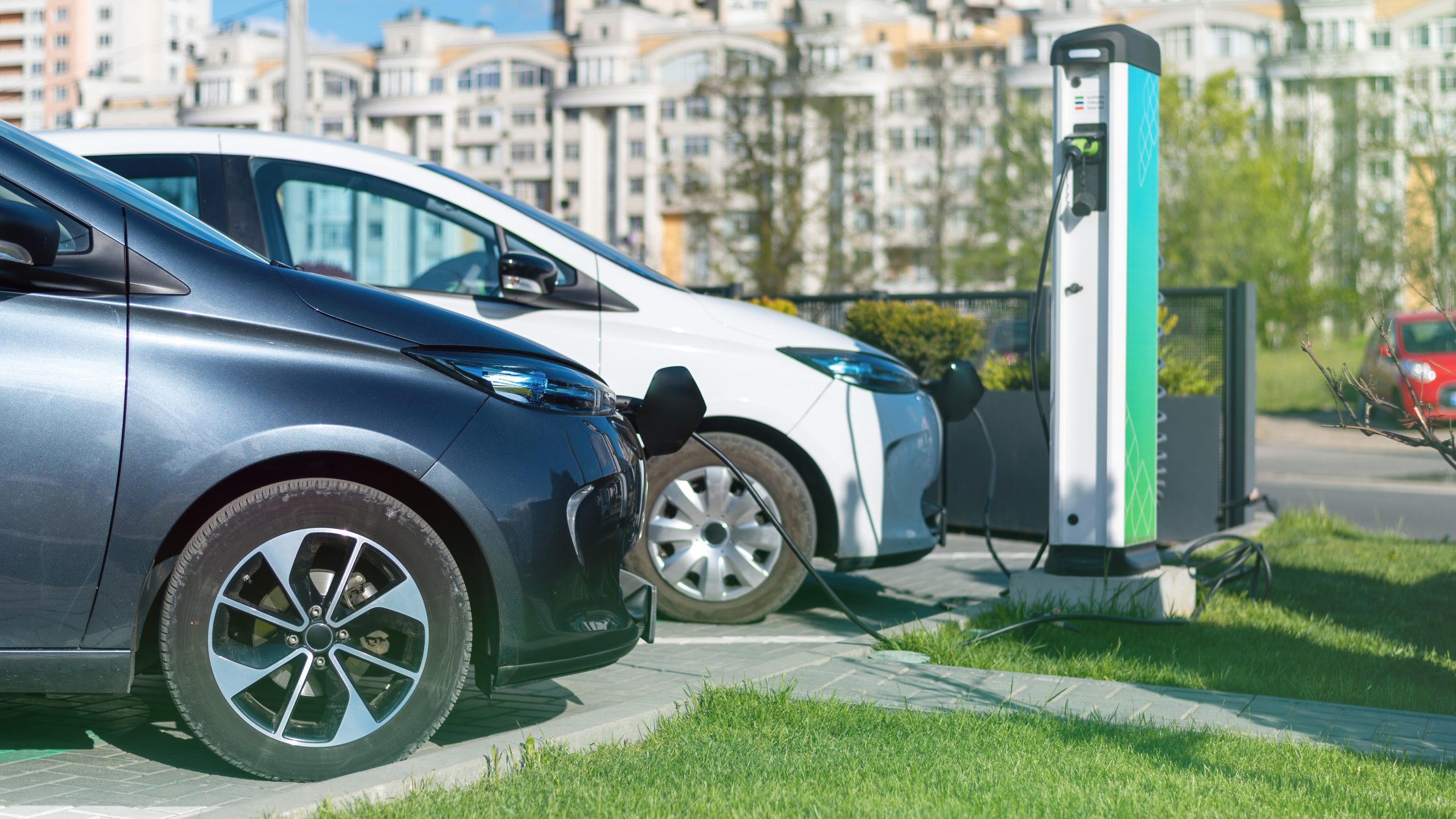 Electric Car Rental El Salvador Made Easy - Trawellogy.com