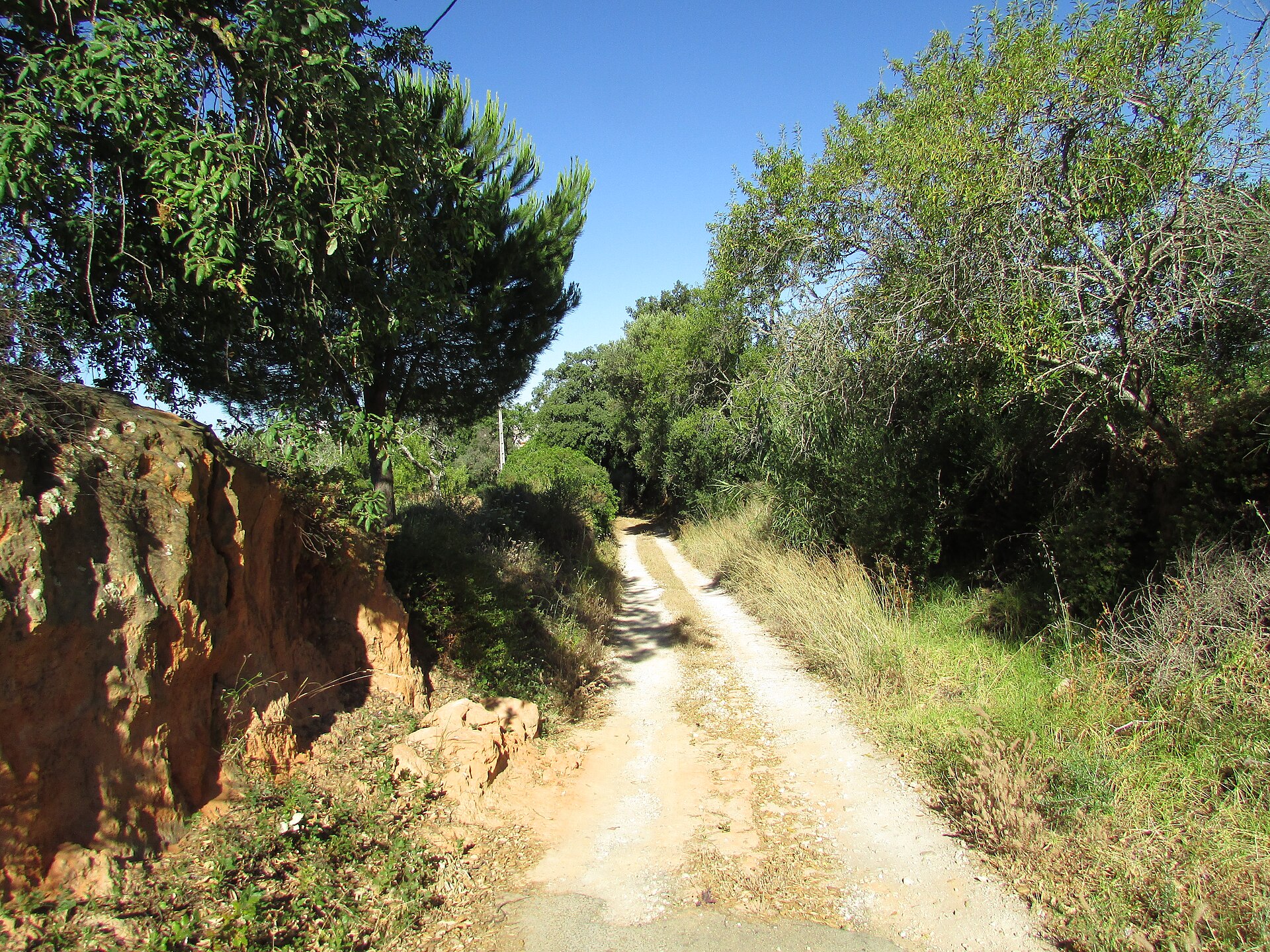 Quiet countryside road near Albufeira in the Algarve, Portugal