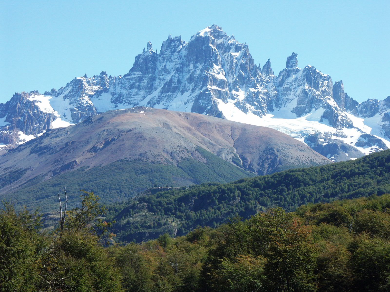 The jagged basalt spires of Cerro Castillo in the Aysen region of Chile