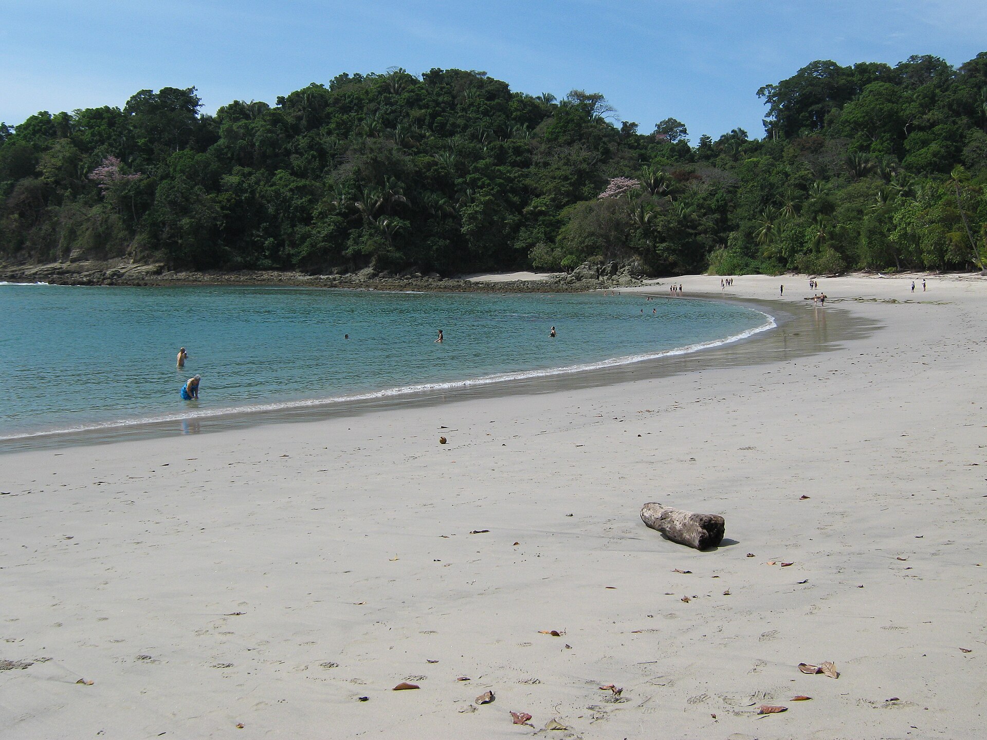 Rainforest meeting the beach at Manuel Antonio National Park in Costa Rica