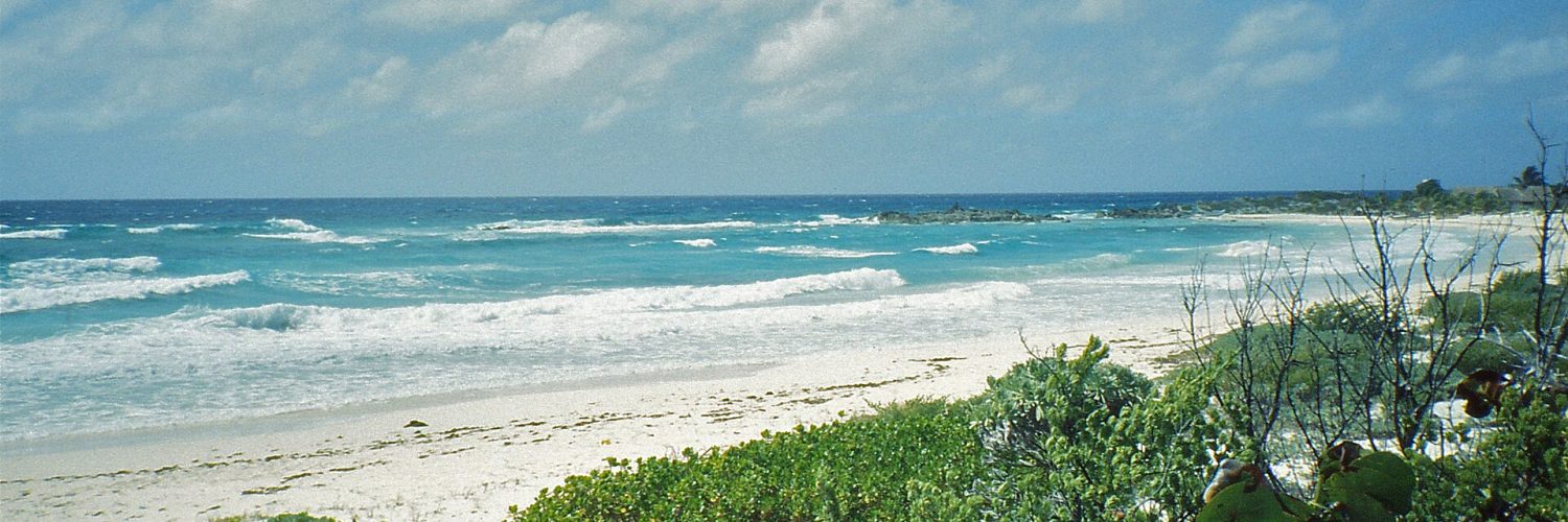 The wild east coast of Cozumel island in Mexico