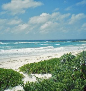 The wild east coast of Cozumel island in Mexico