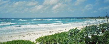 The wild east coast of Cozumel island in Mexico