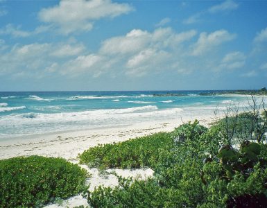The wild east coast of Cozumel island in Mexico