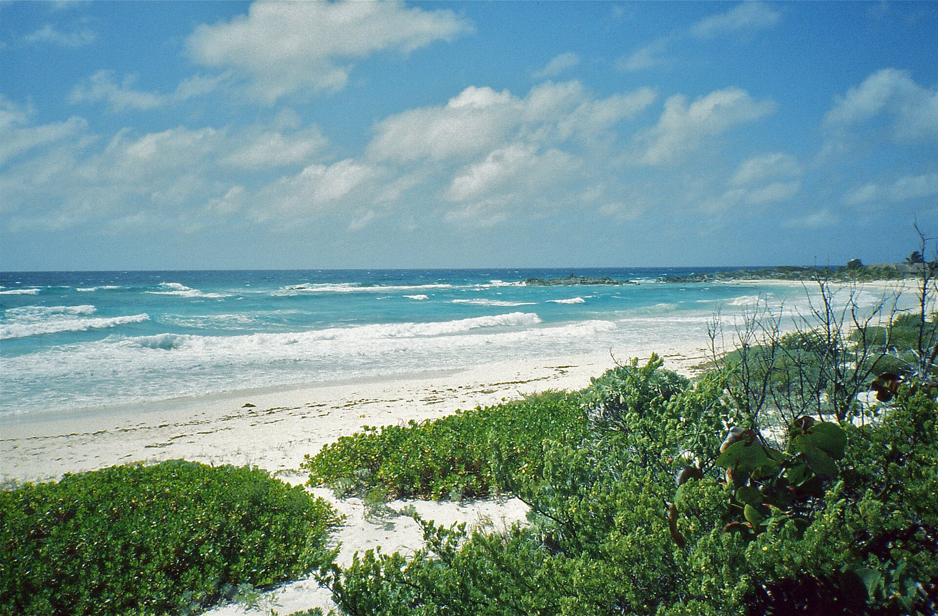 The wild east coast of Cozumel island in Mexico