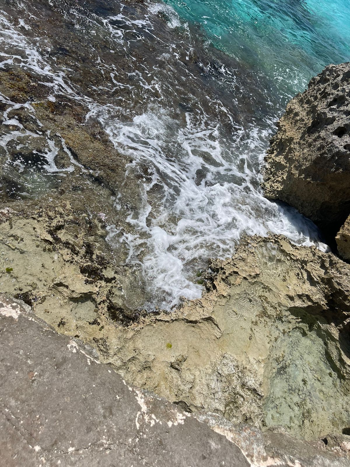 Rocky Caribbean shoreline on Cozumel island, Quintana Roo