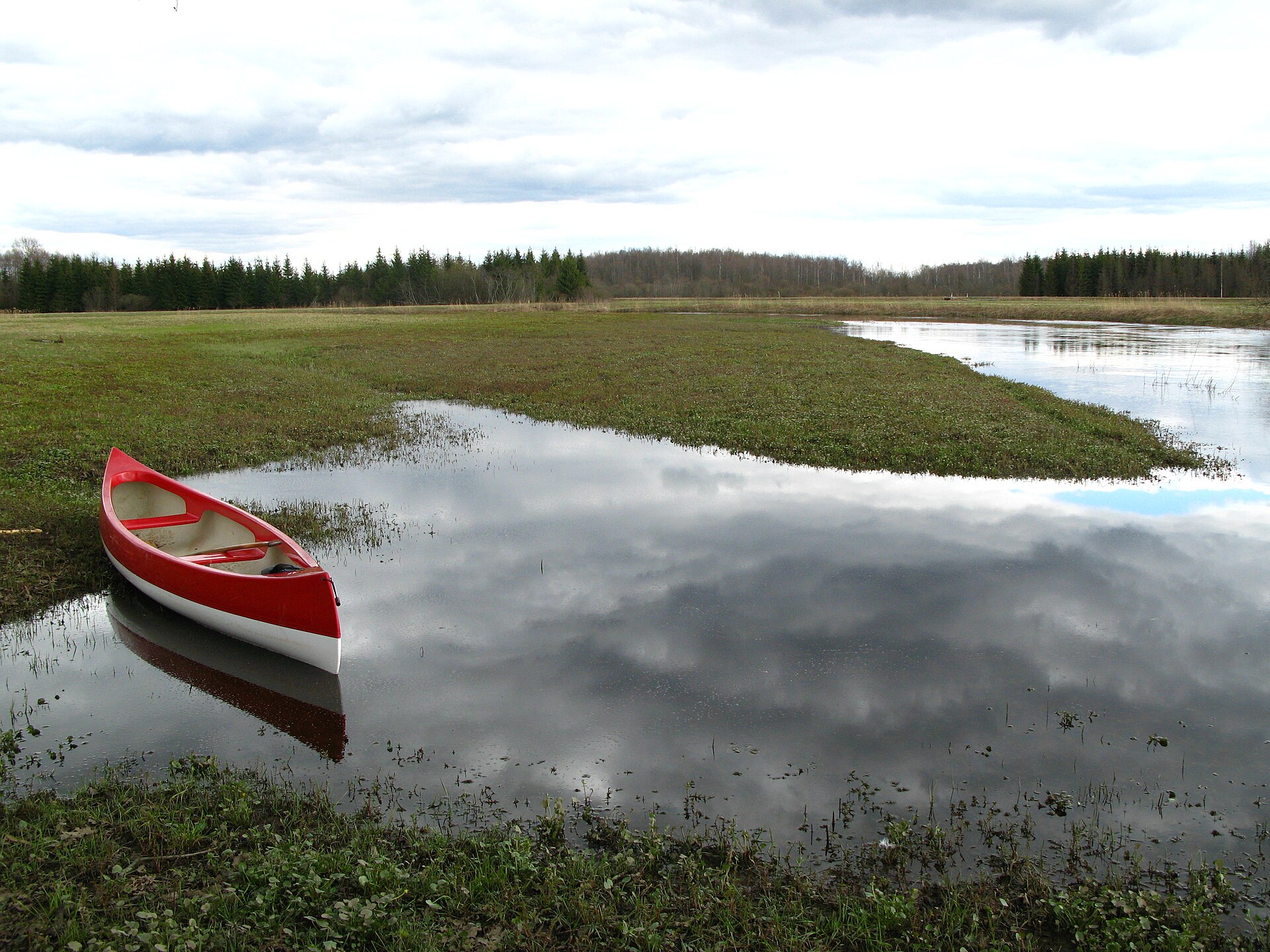 The Raudna river running through Soomaa National Park, Estonia