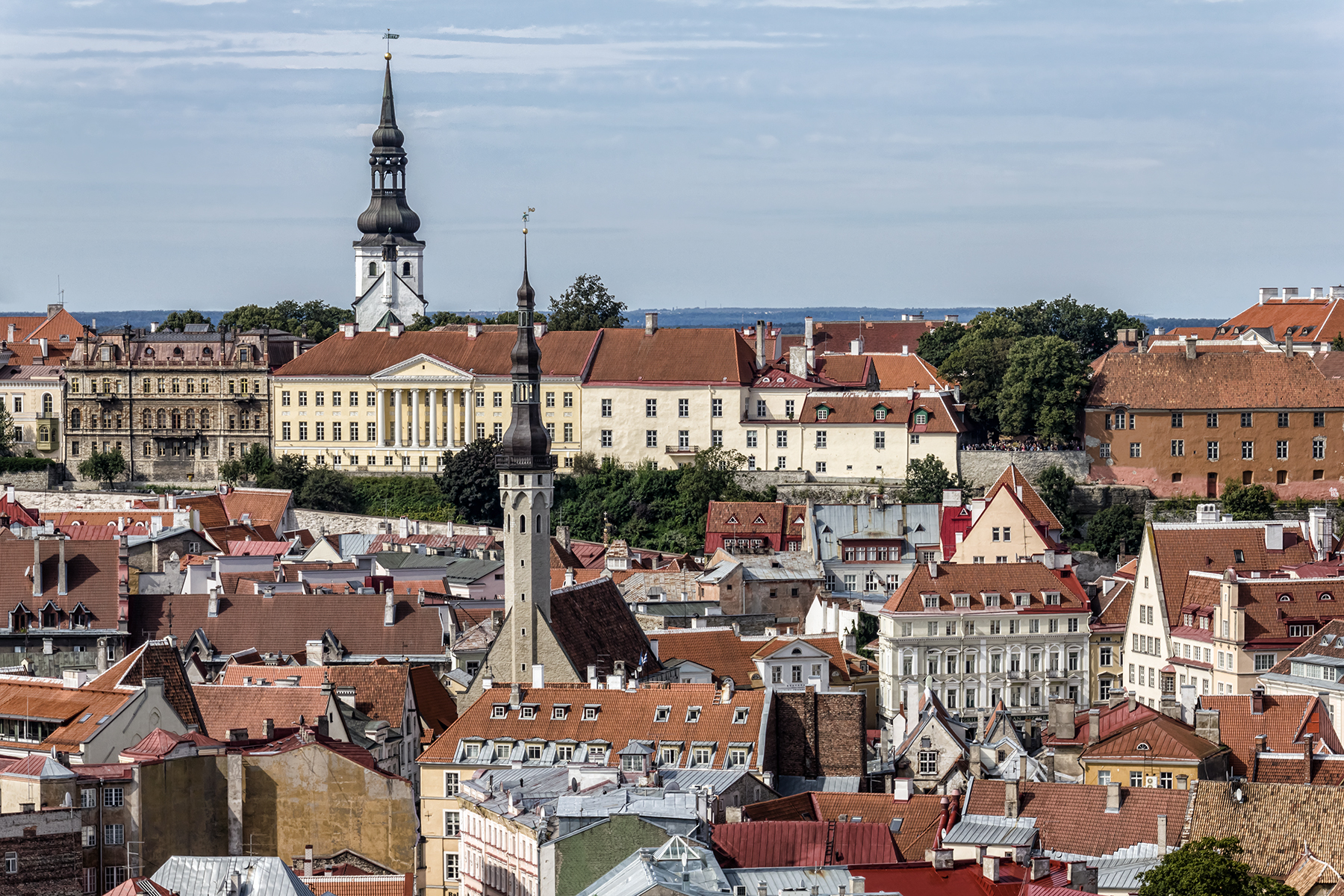 Rooftops and spires of Tallinn Old Town, Estonia
