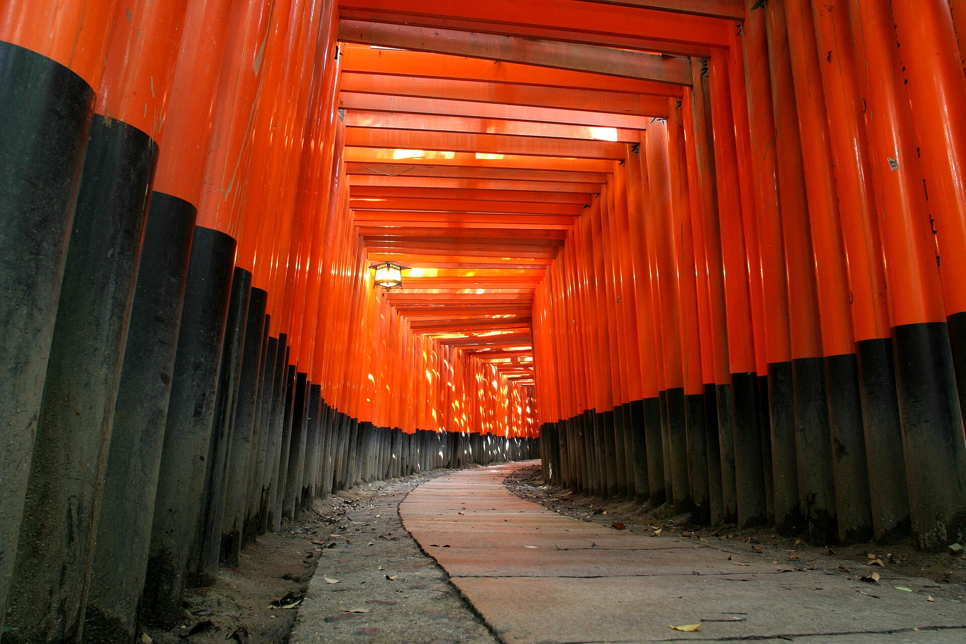 Rows of vermilion torii gates on the hillside path at Fushimi Inari shrine in southern Kyoto