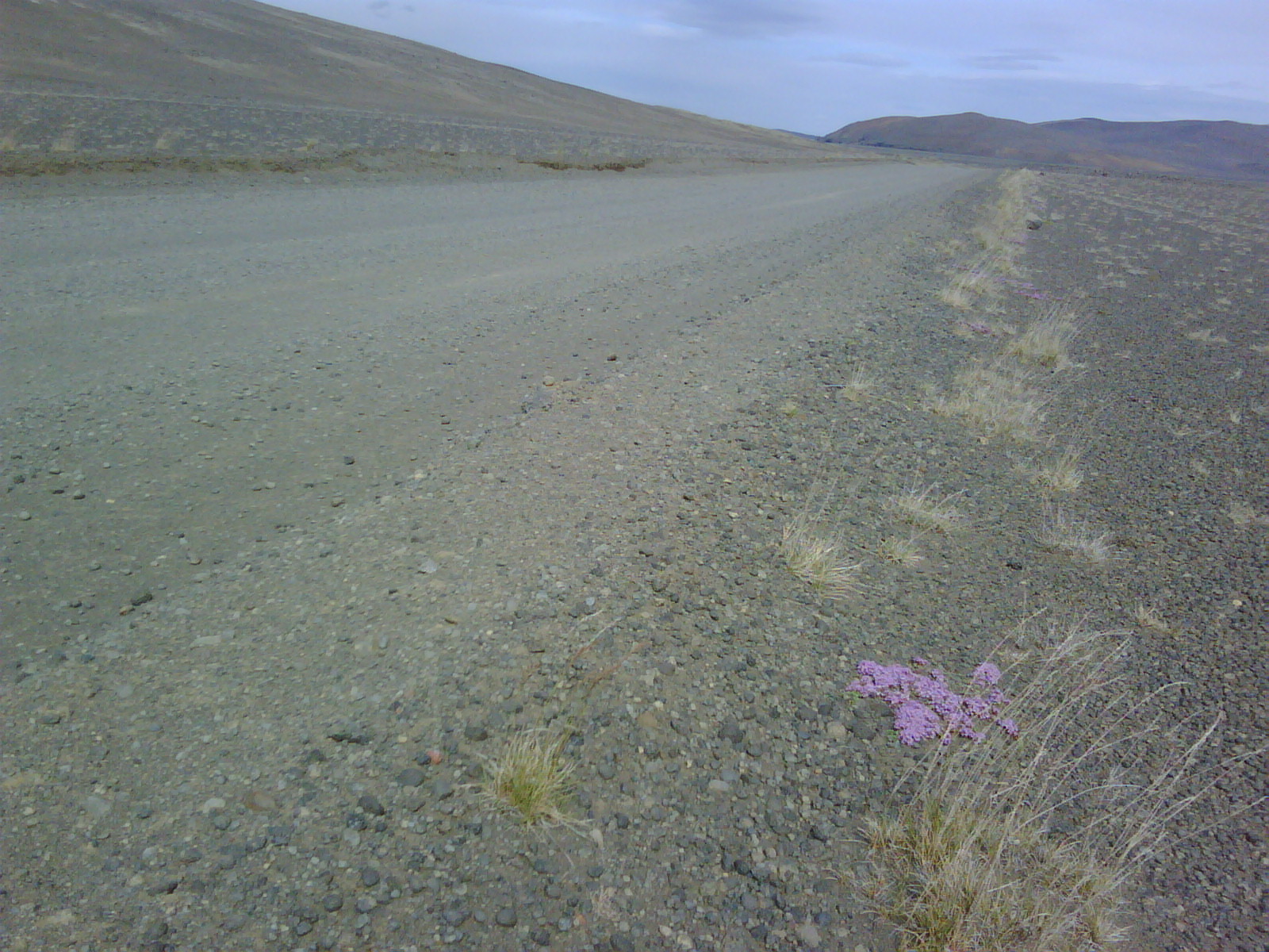The unpaved F88 highland track running across black sand towards Askja in Iceland