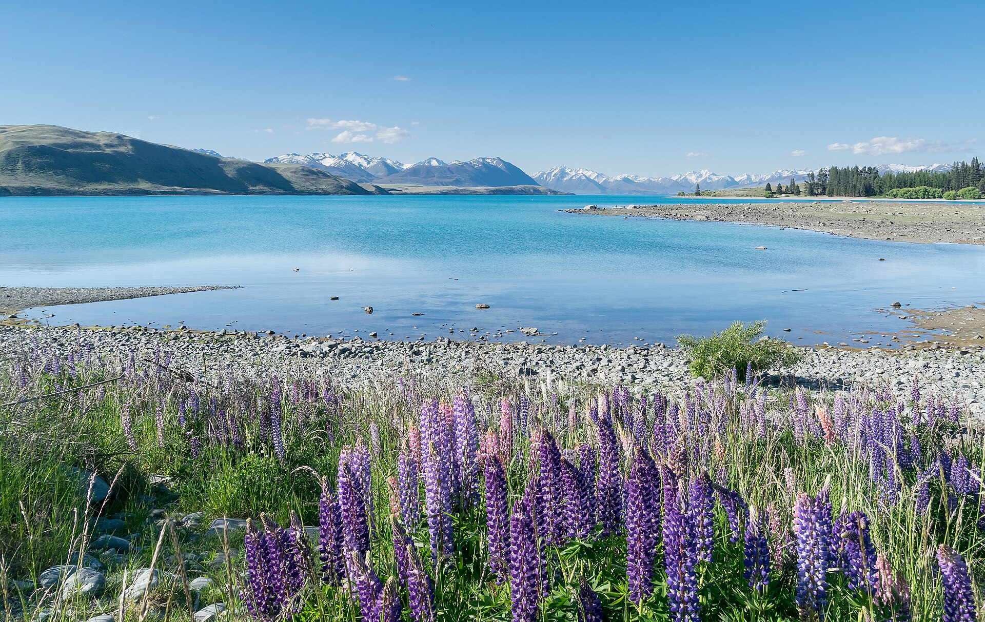 The turquoise water of Lake Tekapo backed by the Southern Alps