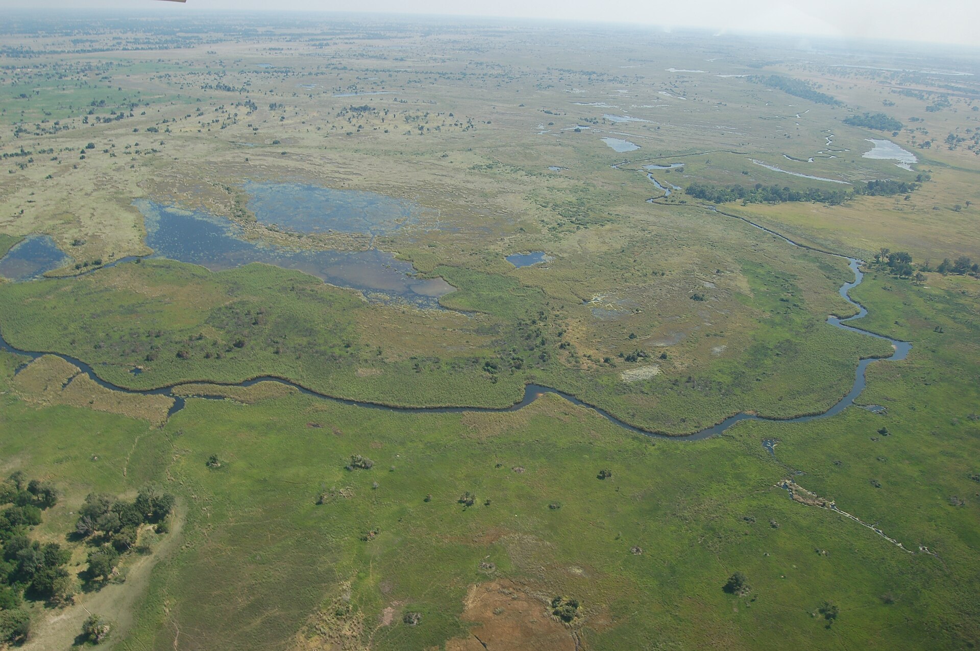 Aerial view of the braided waterways and islands of the Okavango Delta in Botswana