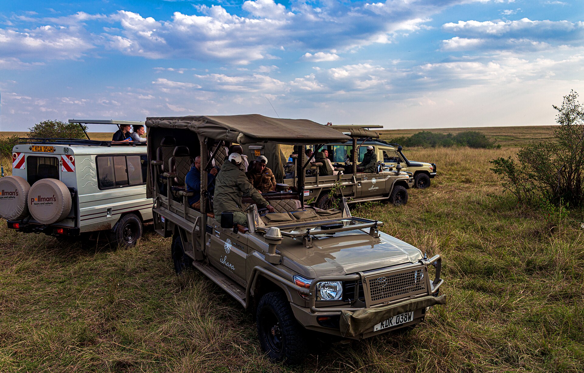 Safari vehicles gathered around lions in the Maasai Mara National Reserve