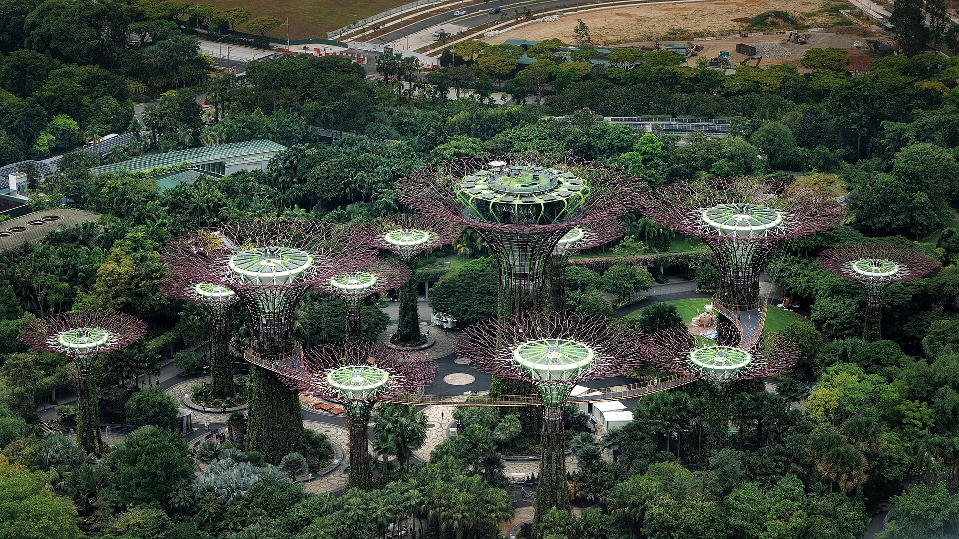 Illuminated Supertrees at Gardens by the Bay in Singapore after dark