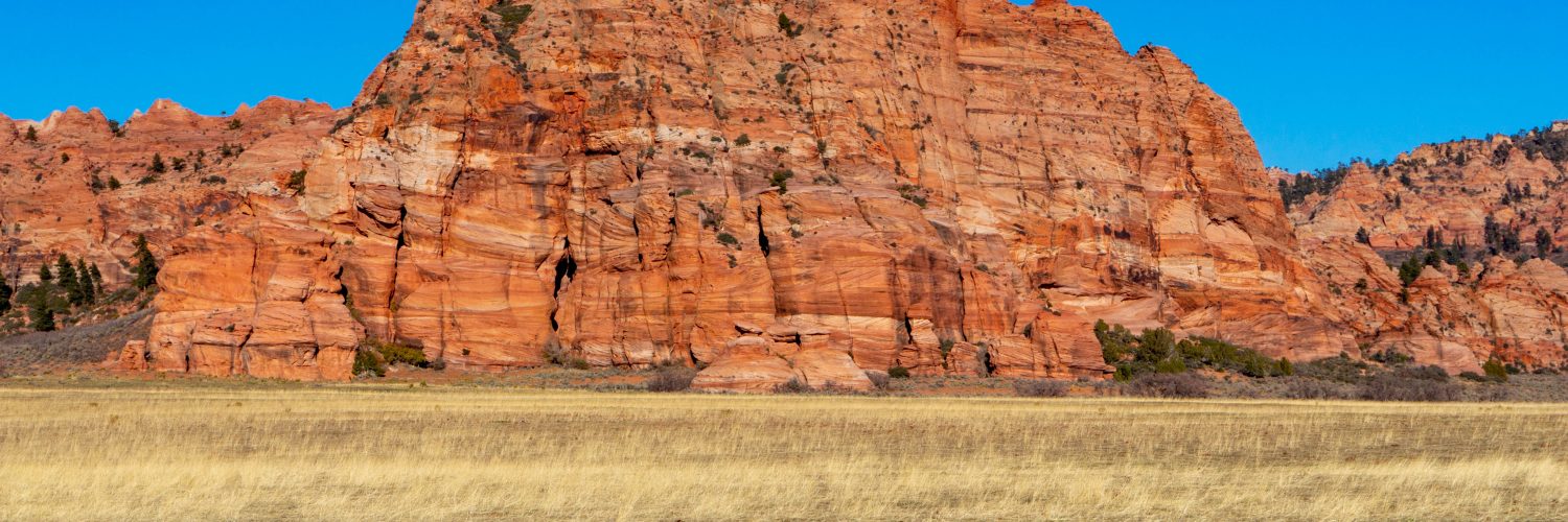 Zion National Park canyon walls seen from the scenic drive in Utah
