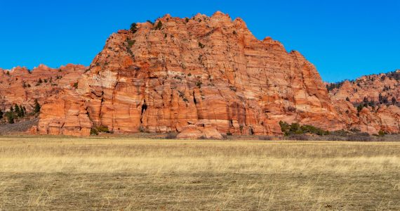 Zion National Park canyon walls seen from the scenic drive in Utah