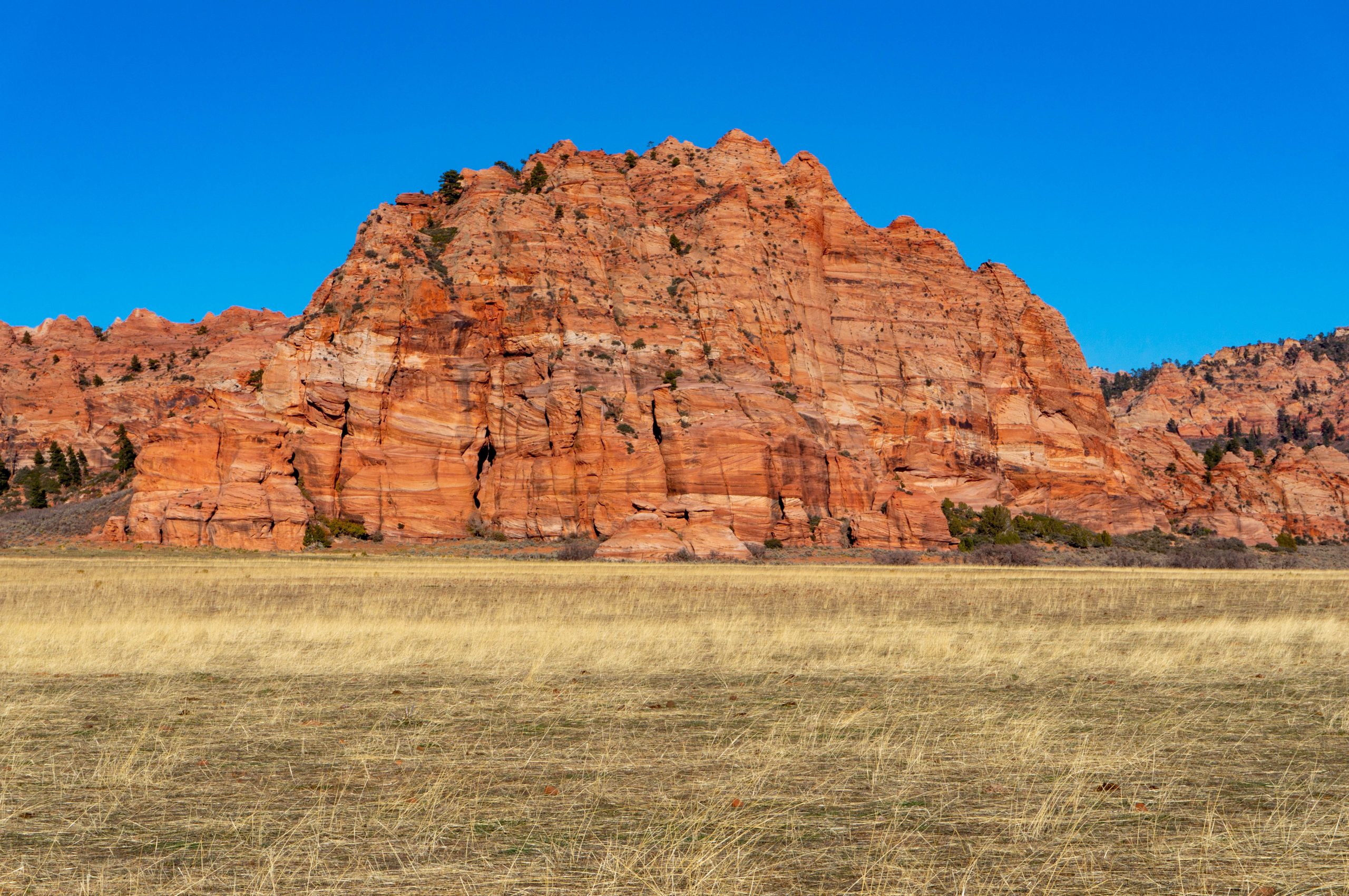 Zion National Park canyon walls seen from the scenic drive in Utah