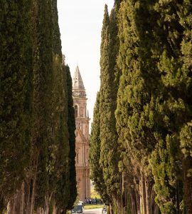 A narrow country road lined with cypress trees crossing the Tuscan hills