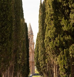 A narrow country road lined with cypress trees crossing the Tuscan hills
