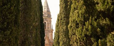 A narrow country road lined with cypress trees crossing the Tuscan hills