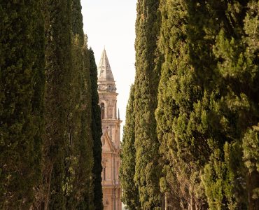 A narrow country road lined with cypress trees crossing the Tuscan hills