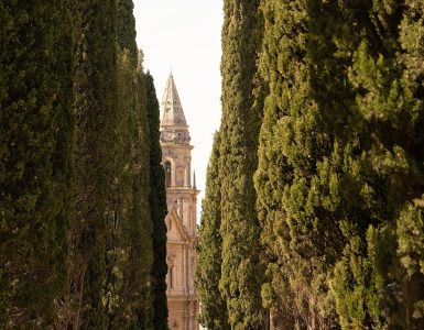 A narrow country road lined with cypress trees crossing the Tuscan hills