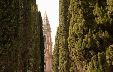 A narrow country road lined with cypress trees crossing the Tuscan hills
