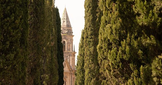A narrow country road lined with cypress trees crossing the Tuscan hills