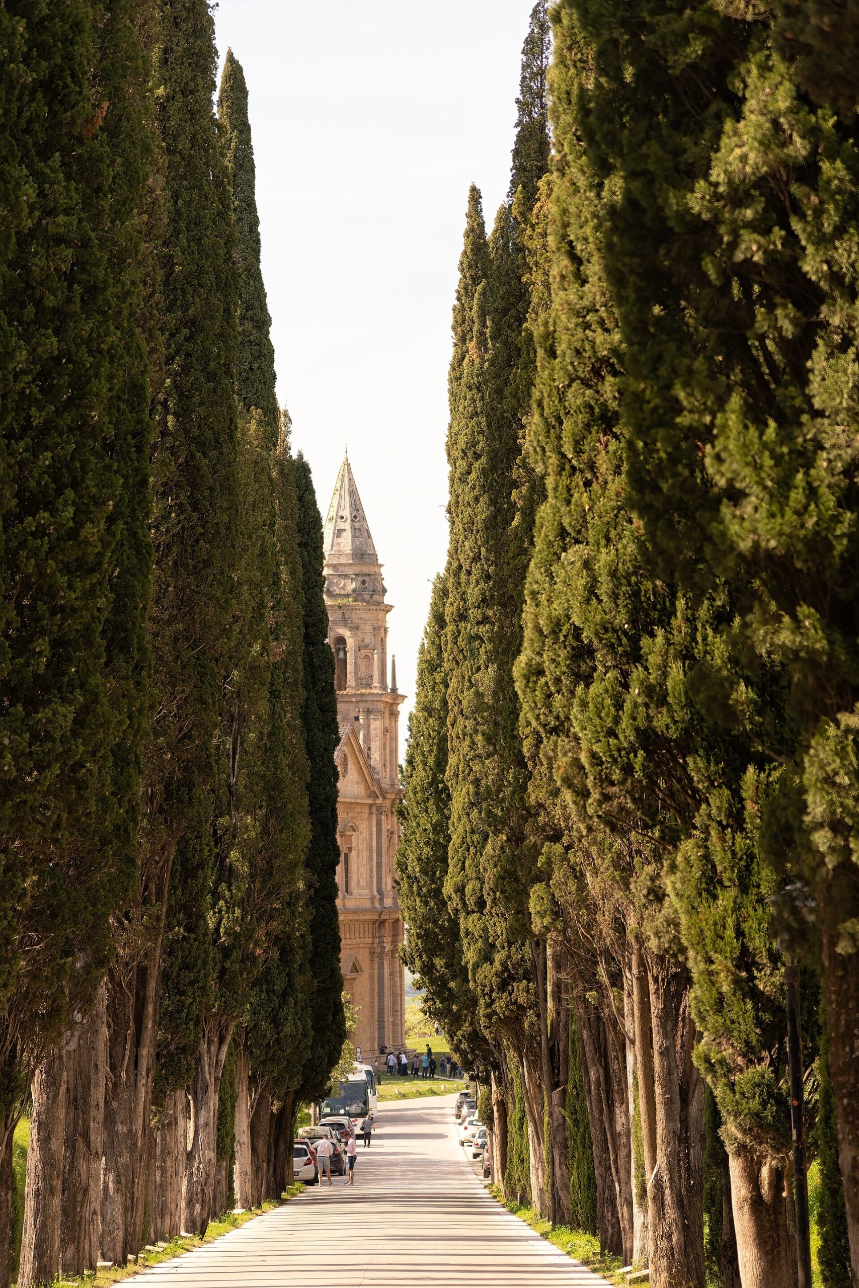 A narrow country road lined with cypress trees crossing the Tuscan hills