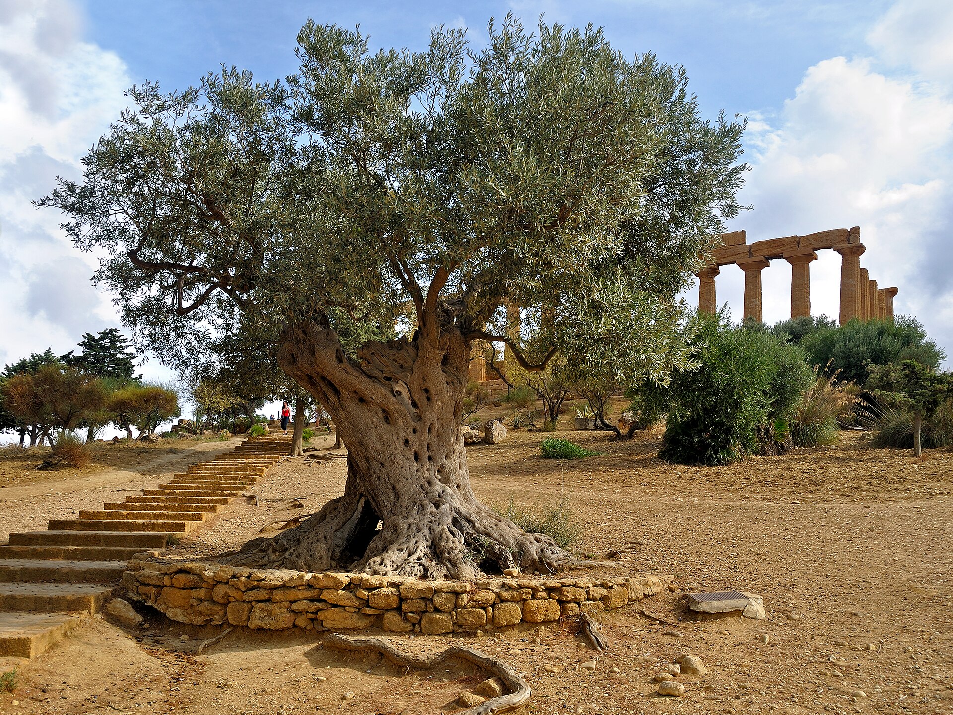 Greek temple ruins in the Valley of the Temples at Agrigento, Sicily