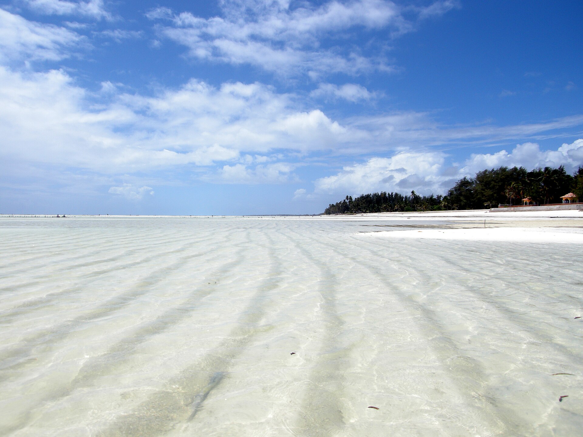 Shallow turquoise water and seaweed farms at Paje beach on the east coast of Zanzibar