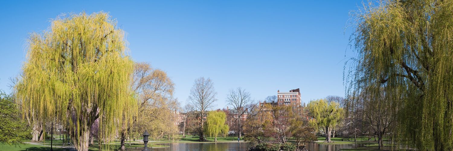 The Public Garden lagoon in the foreground with the Back Bay skyline behind it, Boston