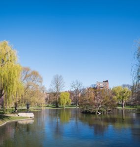 The Public Garden lagoon in the foreground with the Back Bay skyline behind it, Boston