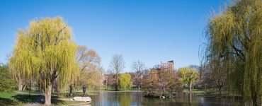 The Public Garden lagoon in the foreground with the Back Bay skyline behind it, Boston