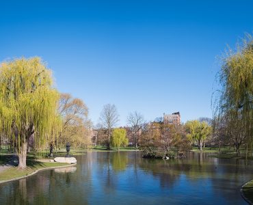 The Public Garden lagoon in the foreground with the Back Bay skyline behind it, Boston