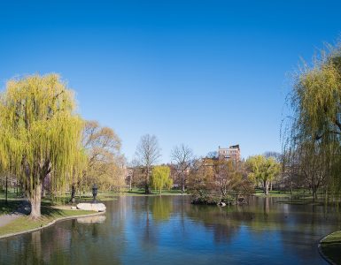 The Public Garden lagoon in the foreground with the Back Bay skyline behind it, Boston