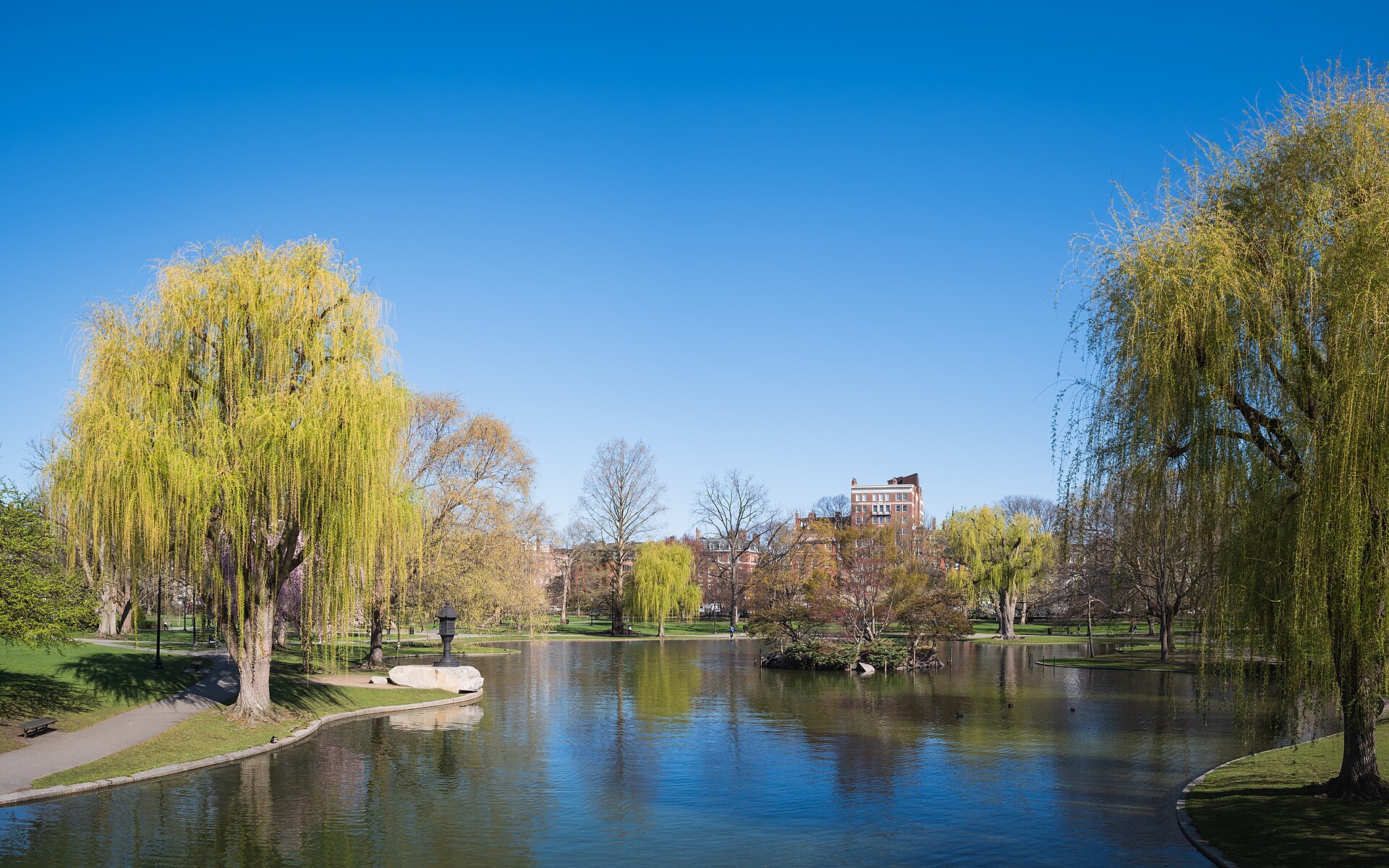 The Public Garden lagoon in the foreground with the Back Bay skyline behind it, Boston