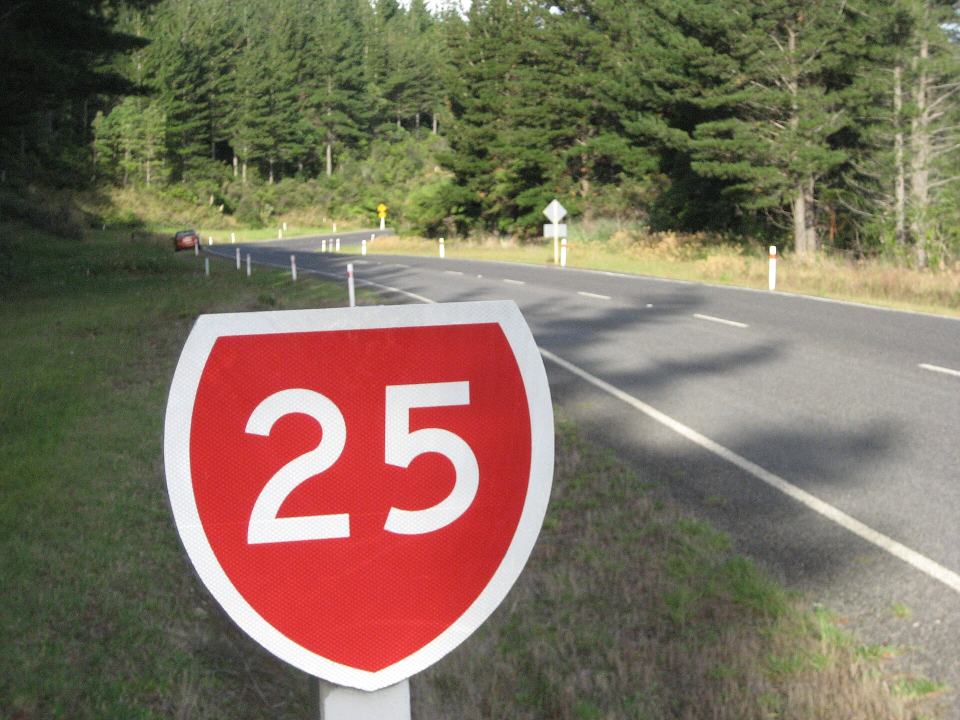 A winding two-lane road through the hills of the Coromandel Peninsula in New Zealand