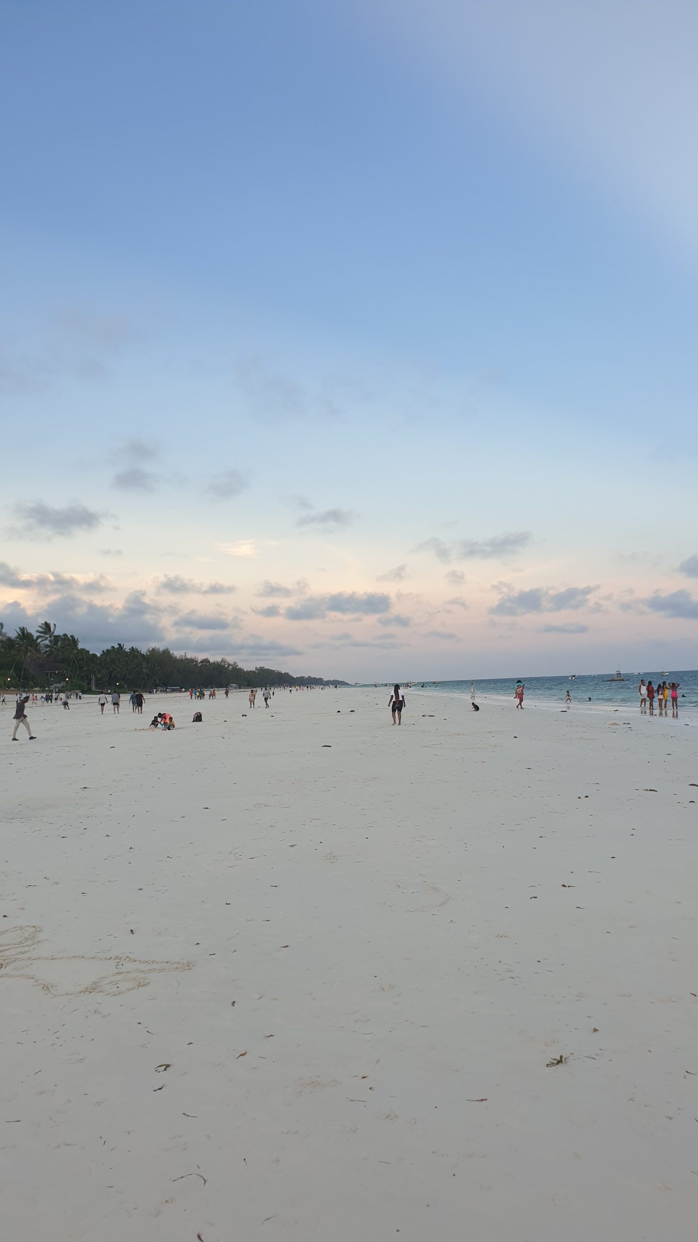 White sand and palm trees along Diani Beach on Kenya's south coast
