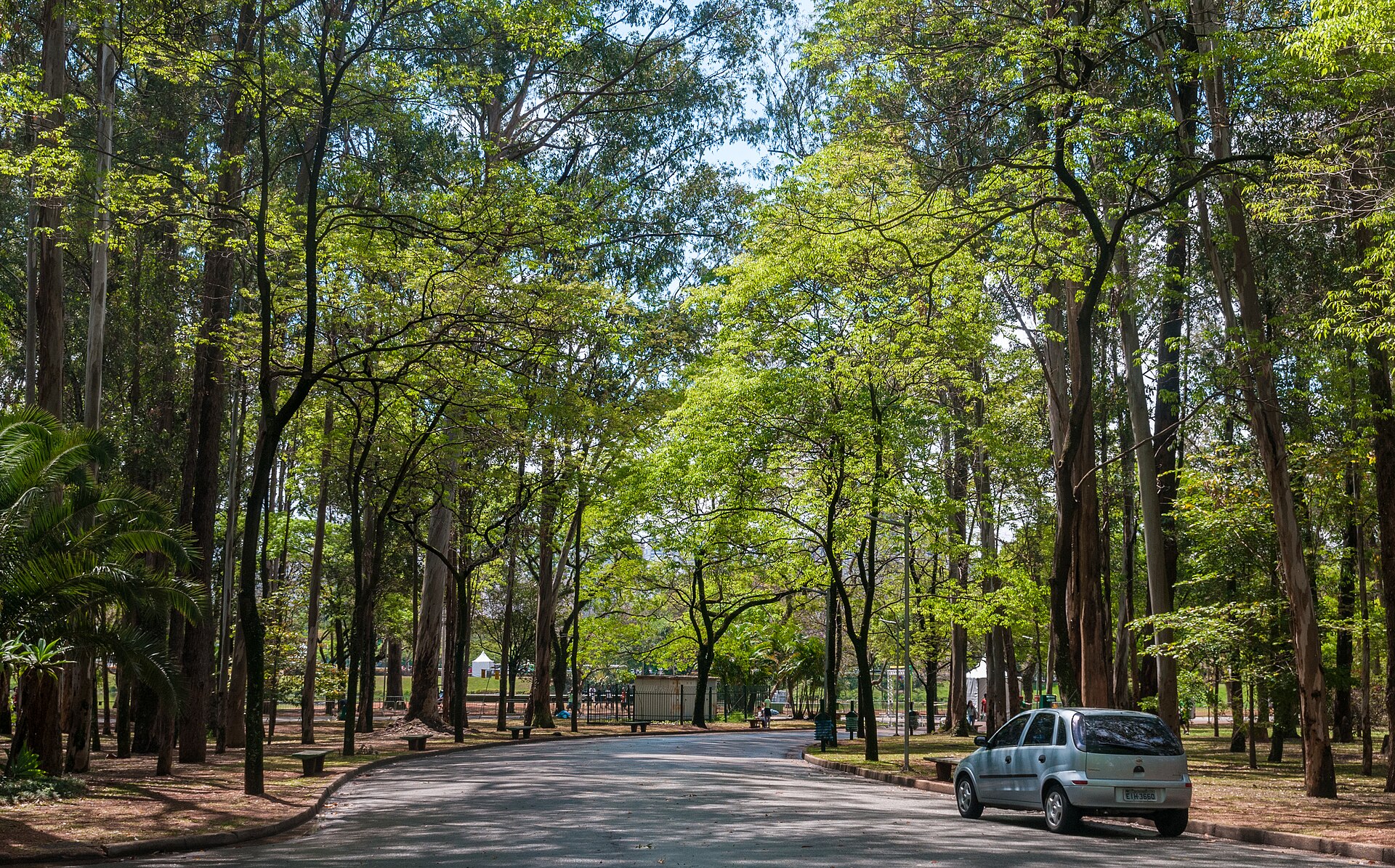Lake and walking paths in Ibirapuera Park, Sao Paulo